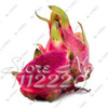 2015 New!!! 50pcs/ bag 9 kinds rare pitaya seeds, dragon fruit seeds very sweet fruit seeds , sementes potted plants for garden