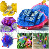 2015 New!!! 50pcs/ bag 9 kinds rare pitaya seeds, dragon fruit seeds very sweet fruit seeds , sementes potted plants for garden