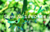 2015 New!!! 50pcs/ bag 9 kinds rare pitaya seeds, dragon fruit seeds very sweet fruit seeds , sementes potted plants for garden