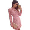 New Arrive Vestidos Women Fashion Casual Lace Dress 2017 O-Neck Sleeve Pink Evening Party Dresses Vestido de festa Brasil Trend New Arrive Vestidos Women Fashion Casual Lace Dress 2017 O-Neck Sleeve Pink Evening Party Dresses Vestido de festa Brasil Trend