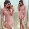 New Arrive Vestidos Women Fashion Casual Lace Dress 2017 O-Neck Sleeve Pink Evening Party Dresses Vestido de festa Brasil Trend New Arrive Vestidos Women Fashion Casual Lace Dress 2017 O-Neck Sleeve Pink Evening Party Dresses Vestido de festa Brasil Trend