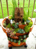 206 Rare Mix Lithops Seeds Living Stones Succulent Cactus Organic Garden Bulk Seed,bonsai seeds for indoor succulent plants.
