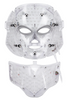 LED Therapy Face Mask Light Treatment