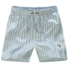 2017 Summer Board Shorts Men Striped Beach Shorts Polo  Quick Dry Beach Shorts Male Casual Boardshorts Brand