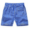 2017 Summer Board Shorts Men Striped Beach Shorts Polo  Quick Dry Beach Shorts Male Casual Boardshorts Brand