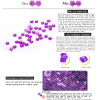 Fruit still life 75x50 Cross Stitch Diy Diamond Painting Rhinestones Embroidery Resin Set Canvas Craft Mosaic Handicraft
