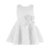 2017 Summer Toddler Baby Girl Kids Lace Floral Dress One Piece Party Vestido Girls Princess Dresses