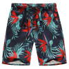 Brand Beach Shorts Men Boardshorts Male Board Short Quick Dry Bermuda Plus Size