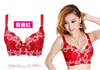 2016 Hot Fashion Women Sexy Bra Underwear 32-38 A-D Lace Push Up Deep V Bra Women Embroidery Plus Size Bra Women Sexy Bra