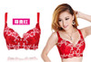 2016 Hot Fashion Women Sexy Bra Underwear 32-38 A-D Lace Push Up Deep V Bra Women Embroidery Plus Size Bra Women Sexy Bra