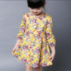 Fashion Baby Dress Long Sleeve Pirncess Girls Clothes Spring Autumn Winter Children Dresses For Girl Floral Clothing Vestidos