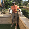 2017 Autumn New Fashion Sweatpants Men Solid Workout Bodybuilding Clothing Casual GYMS Fitness Joggers Pants Skinny Trousers 2017 Autumn New Fashion Sweatpants Men Solid Workout Bodybuilding Clothing Casual GYMS Fitness Joggers Pants Skinny Trousers