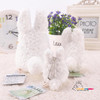 2016 Orignal white totoro plush pendant mini plush keychain toy totoro dolls for birthday gift or collection