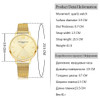 2017 New Lvpai Women Watches Luxury Gold Bracelet Dress Watch Top Quality Ladies Quartz Watch Women Business Wrist Sport Watch 2017 New Lvpai Women Watches Luxury Gold Bracelet Dress Watch Top Quality Ladies Quartz Watch Women Business Wrist Sport Watch