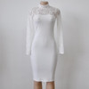 2016 Sexy Women Lace Dress Autumn Winter Long Sleeve High Neck Bodycon Dress Black Club Dress Red Party Dress Vestidos Robe Sexy 2016 Sexy Women Lace Dress Autumn Winter Long Sleeve High Neck Bodycon Dress Black Club Dress Red Party Dress Vestidos Robe Sexy