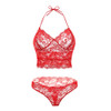 CDJLFH Brand French Sexy T-pants Romantic Transparent Temptation Lace Bra Set Young Women Underwear Set Lade Bra And Panty Set CDJLFH Brand French Sexy T-pants Romantic Transparent Temptation Lace Bra Set Young Women Underwear Set Lade Bra And Panty Set