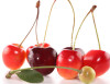 Sale!2016 Asian Rare Cherry Seeds Fruit Seeds 10pcs/pack Bonsai Seeds Free Shipping