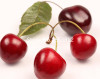 Sale!2016 Asian Rare Cherry Seeds Fruit Seeds 10pcs/pack Bonsai Seeds Free Shipping