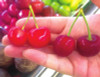 Sale!2016 Asian Rare Cherry Seeds Fruit Seeds 10pcs/pack Bonsai Seeds Free Shipping