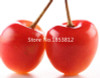 Sale!2016 Asian Rare Cherry Seeds Fruit Seeds 10pcs/pack Bonsai Seeds Free Shipping