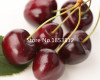 Sale!2016 Asian Rare Cherry Seeds Fruit Seeds 10pcs/pack Bonsai Seeds Free Shipping