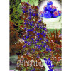 Sale!400 Pieces/pack Blue Climbing Strawberry tree Seeds,rare Fruit Seeds For Home &amp; Garden bonsai,Free Shipping,#6HDDSV