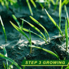 Biodegradable Grass Seed Mat