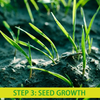 Biodegradable Grass Seed Mat