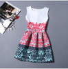 New 2017 summer women floral print dress sleeveless o neck vintage casual dresses colorful knee length dress