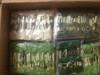 NOneroom 50pcs CXC threads similar DMC cotton threads two label cross stitch threads embroidery threads Quality skeins
