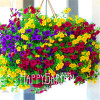 Big Promotion! 100 Seeds A Lot Hanging Petunia Mixed Seeds Rare Flower Seeds DIY Home Garden plant Easy to Grow