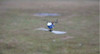 Hot sale WLtoys V977 Power Star X1 6CH 2.4G Brushless With Remote Control Toy Rc Helicopter
