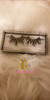 Ambitious Lash & Gloss Bundle Deal