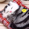 Stuffed Toys Lovely Simulation Animal Doll Plush Sleeping Cats Toy with Sound Kids Toy Decorations Birthday Gift For Children Stuffed Toys Lovely Simulation Animal Doll Plush Sleeping Cats Toy with Sound Kids Toy Decorations Birthday Gift For Children