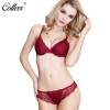 COLLEER Sexy Lingerie BH Push Up Women Underwear Set Bralette Lace Bra Thin Cup Transparent Bra Brief Sets Thongs Panties Women