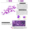 New Full Square Diamond 5D DIY Diamond Painting "Pink Flower" Embroidery Cross Stitch Rhinestone Mosaic Painting Home Decor Gift