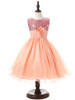 New Flower Children Ball Gown Sequin Formal Wedding Princess Girl Tutu Dress for Party Girls Clothes Kids Dresses Girl Clothing New Flower Children Ball Gown Sequin Formal Wedding Princess Girl Tutu Dress for Party Girls Clothes Kids Dresses Girl Clothing