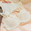 underwear women bra set black mesh ultra-thin Plus Size lingerie sexy transparent lace bra And Panty Set push up lace brassiere