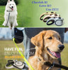 Dog Leash Rope For Dogs Harness Collar Pet Product Dog Cat Lead Retractable puppy leads Red And Blue Girl China Dog Leash Nylon