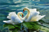 Snowlover,5D,Full,DIY Diamond Embroidery,square,Diamond Painting,Cross Stitch,3D,Diamond,Mosaic,Needlework,Crafts,swan