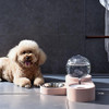 Bubble Pet Bowl Set