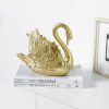 Swan