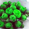 Hot Sale 20 Pcs Peony Flower Seeds Garden Seeds And Potted Plants Paeonia Suffruticosa Tree, Peony Root Seeds for Home Garden