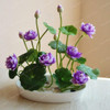 Hot Sale 10 Pcs/Pack Bowl lotus Seed Hydroponic Plants Aquatic Plants Flower Seeds Pot Lotus Water Lily Seeds Bonsai Garden
