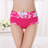2017 New Underwear Women Cotton Underwear Women's Panties Breifs Sexy Lingeries Panty Underwear 3XL G-String Calcinha  For Woman