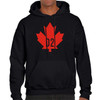 BAIJOE Autumn Winter Mens Hoodies Vintage Canada D2 DSQ Hoodie Sweatshirt Men Hip Hop Hooded Pullover Hombre Clothing M-XXL