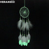 Fluorescence Dream Catcher with Feather Home Wall Hanging Room Decoration Ornament Gifts