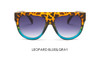 TSHING RAY 2017 Flat Top Shield Sunglasses Women Fashion Brand Designer Superstar Shades Celebrity Sun Glasses For Ladies Female