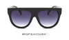 TSHING RAY 2017 Flat Top Shield Sunglasses Women Fashion Brand Designer Superstar Shades Celebrity Sun Glasses For Ladies Female