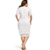 Gamiss Plus Size V Neck Half Sleeve Lace Dress Bodycon 2018 Women Fashion Sexy Office Club Work Ladies Dresses Big Size Vestido
